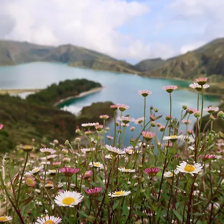 Alojamento Canto Na Relva Ponta Delgada  Exterior photo